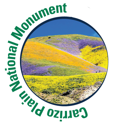 Carrizo Plain National Monument